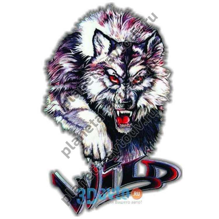 Наклейка_животные "Волк Wild" (430x330) полноцветная